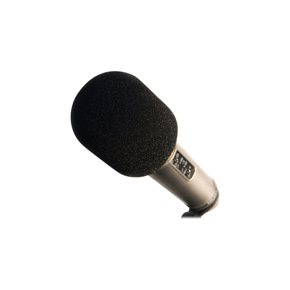 Rode WS2 Microphone Pop Filter/Wind Shield